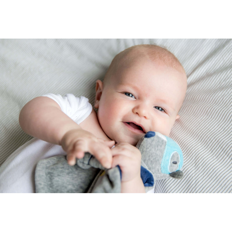 泡泡被 - 閃光狐狸