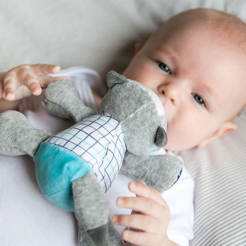 泡泡奶嘴夾 - 閃光狐狸