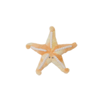 Bubble Plush Toy - Sunny the Starfish