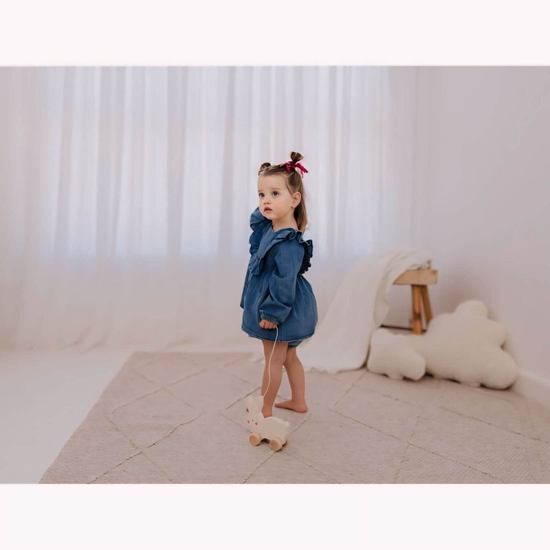 泡泡木製拉車 - 兔子