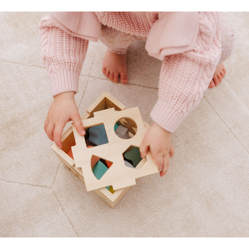 Bubble Wooden Shape Sorting Cube