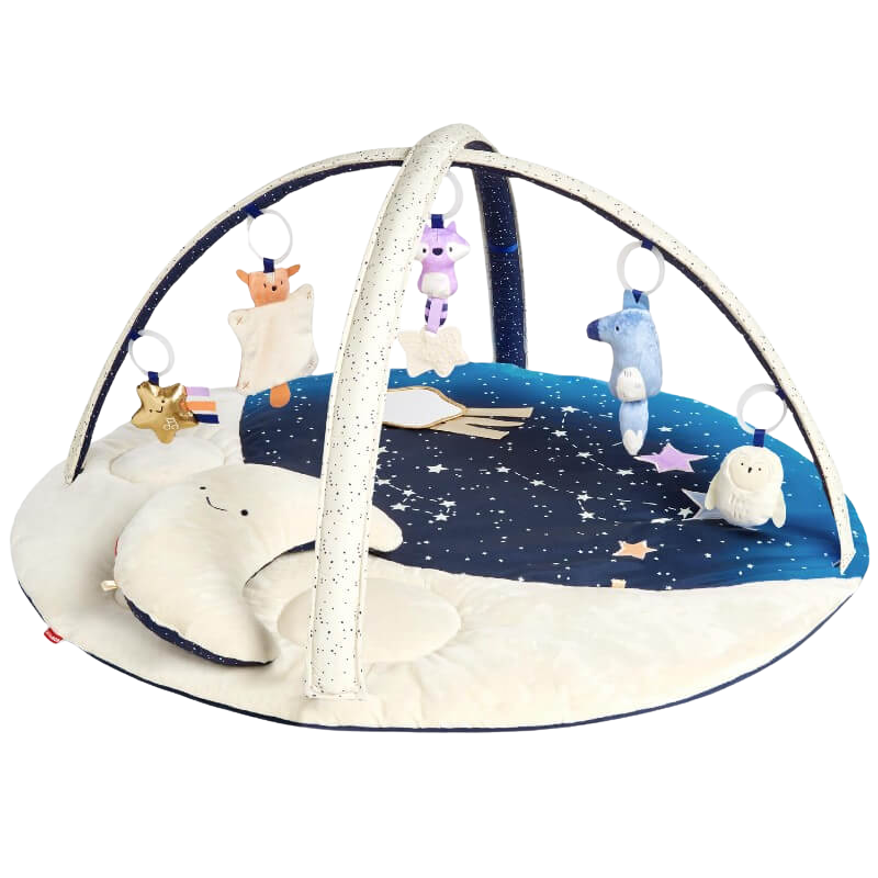 Skip Hop Celestial Dreams Activity Gym