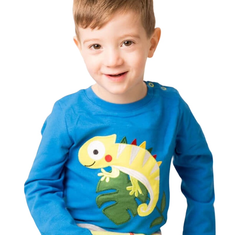 Blade & Rose 變色龍上衣