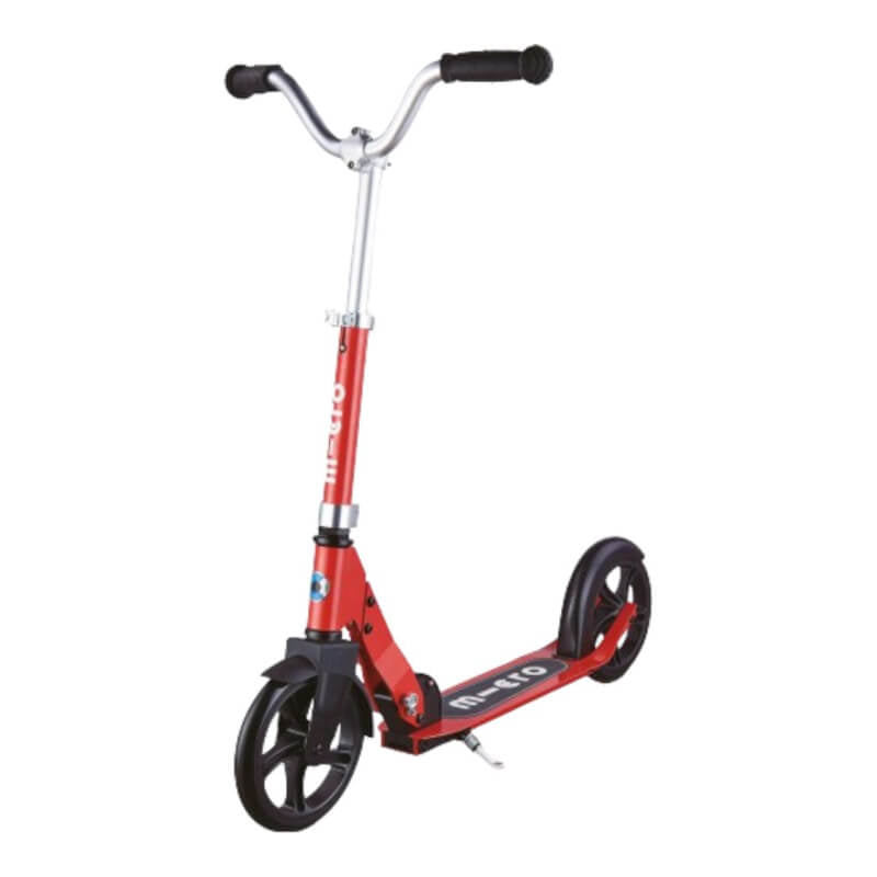 Micro Scooter Cruiser