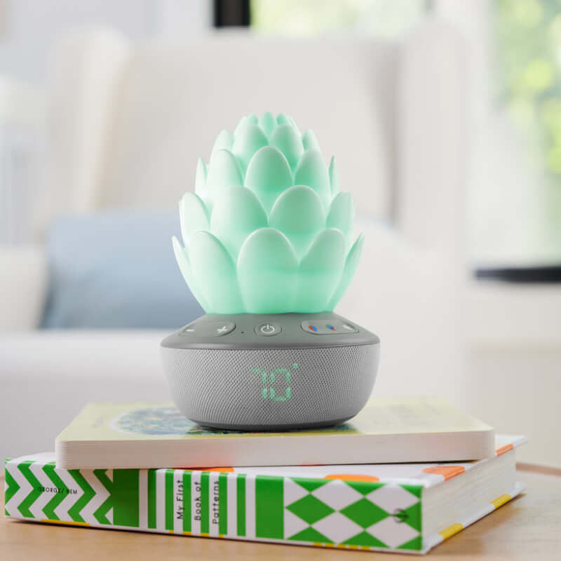 Skip Hop 哭聲啟動安撫奶嘴 - Terra