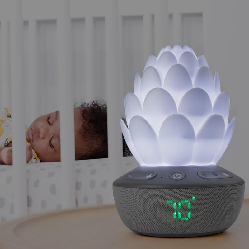 Skip Hop Cry-Activated Soother - Terra