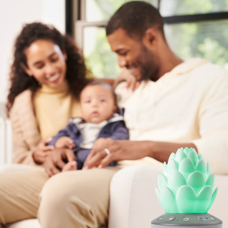 Skip Hop 哭聲啟動安撫奶嘴 - Terra