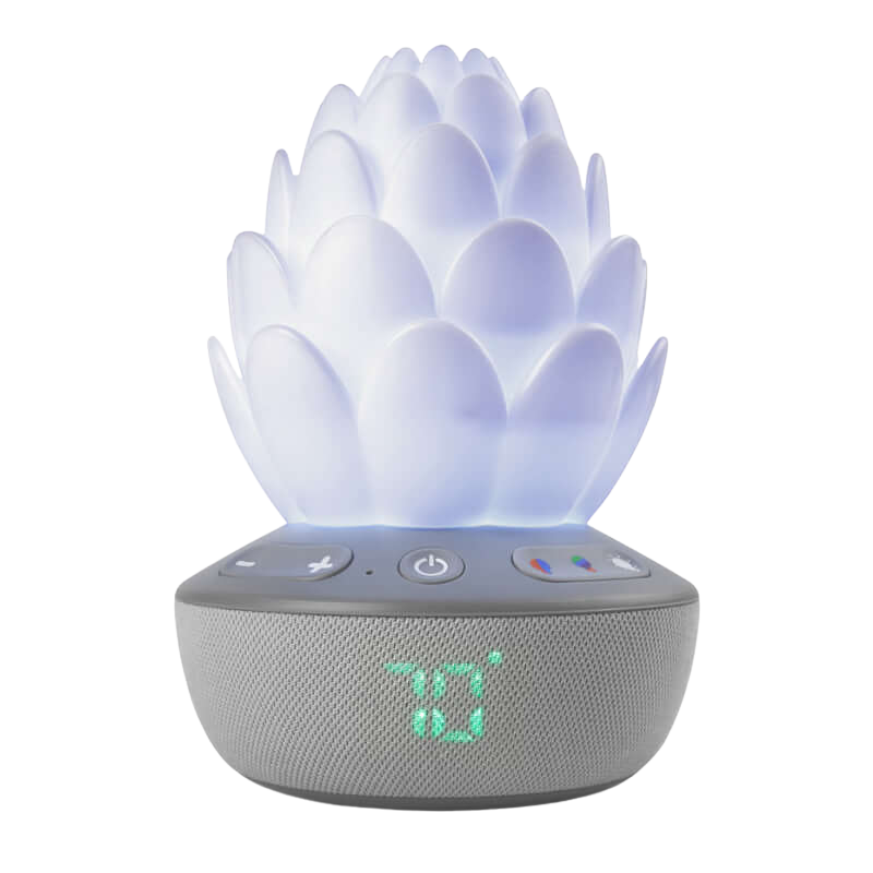 Skip Hop 哭聲啟動安撫奶嘴 - Terra