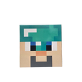 Pixel Art Toy Diamond Steve Cardboard Head