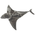 Wild & Soft Disguise Animal Costume - Jack the Shark