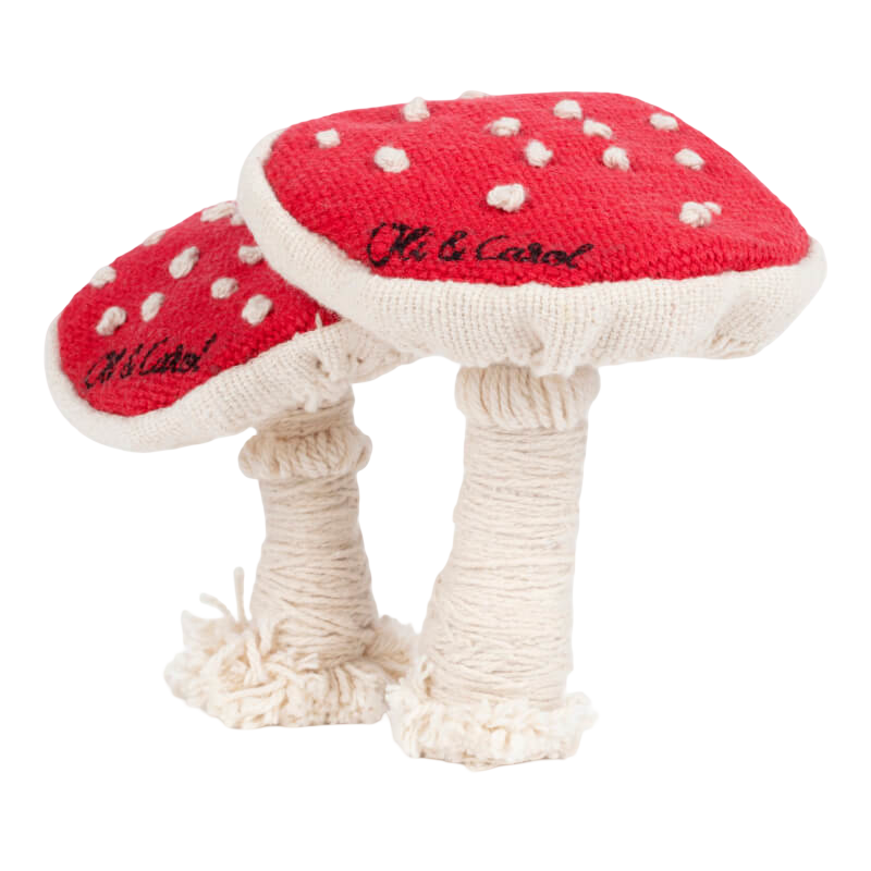 Oli&Carol DIY Hand Craft - Spot & Spotty the Mushroom