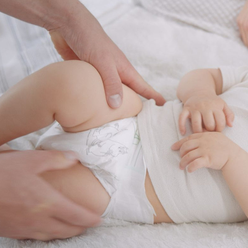 姆明嬰兒紙尿褲 3 號（5-8 公斤）48 片裝