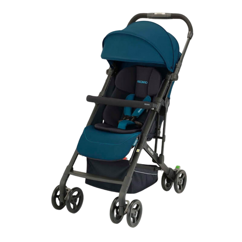 RECARO Easylife Elite2 高機能モデル 軽量 折りたたみ Recaro Easylife Elite 2 Stroller – Baby Central HK