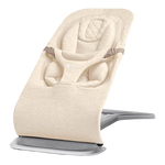Ergobaby Evolve 3-in-1 Bouncer