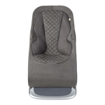 Ergobaby Evolve 3-in-1 Bouncer Extra Fabric Seat