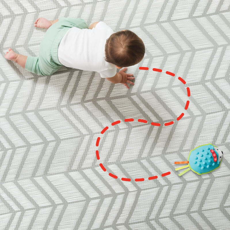 Skip Hop Explore & More Hello Hedgehog Crawl Toy