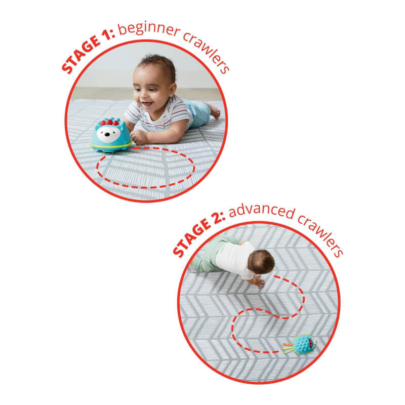 Skip Hop Explore &amp; More Hello Hedgehog 爬行玩具