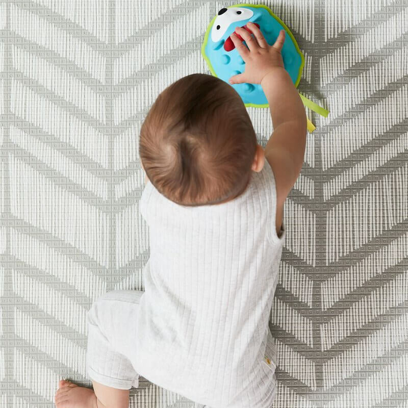 Skip Hop Explore &amp; More Hello Hedgehog 爬行玩具