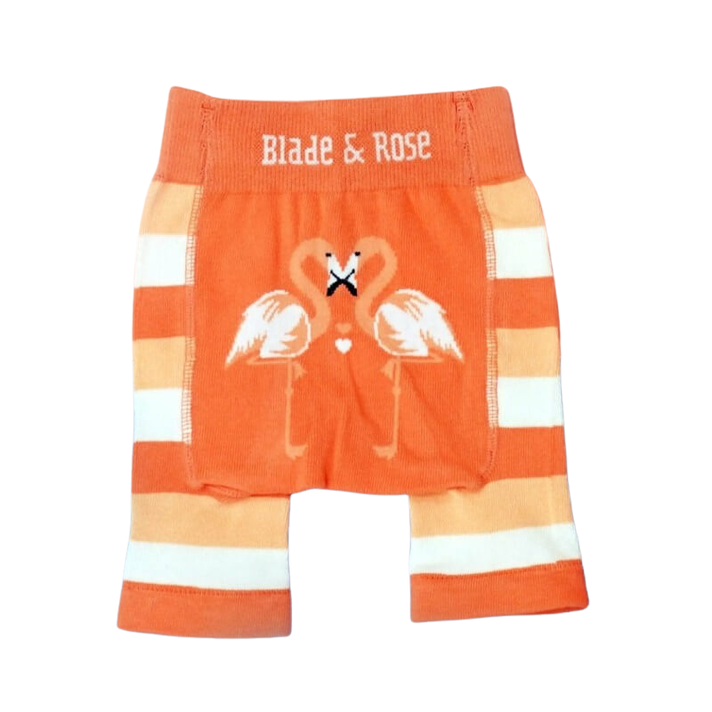 Blade & Rose Flamingo Shorts