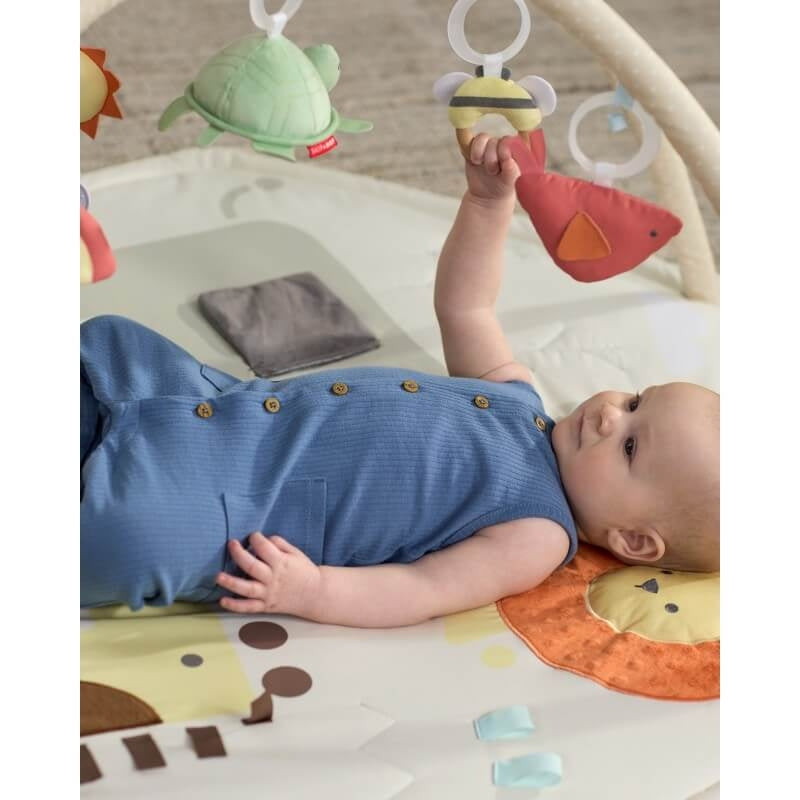 Skip Hop幾何奇觀活動健身房