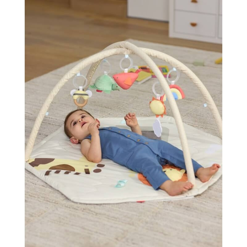 Skip Hop幾何奇觀活動健身房