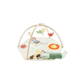Skip Hop Geometric Wonders Activity Gym