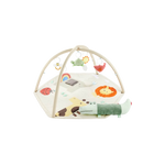 Skip Hop Geometric Wonders Activity Gym