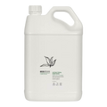 Ecostore Green Tea & Cucumber Antibacterial Hand Wash 5L