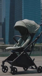 Mimosa Carousel Cruiser Stroller - Charcoal