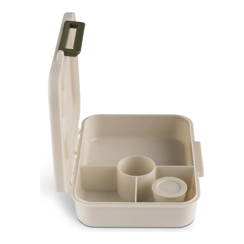 Citron Incredible Tritan Lunch Box with 4 Compartments - Dino