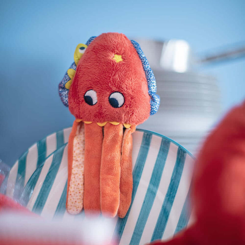 Moulin Roty Les Aventures De Paulie Activity Cuttlefish 30cm