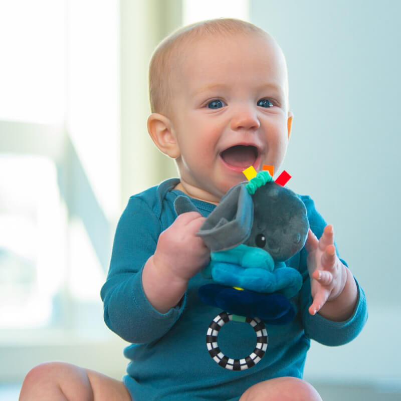 Sassy Baby Lil Party Animals Wavy Whale Jitter