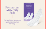 Lansinoh Post Partum Pads Bundle