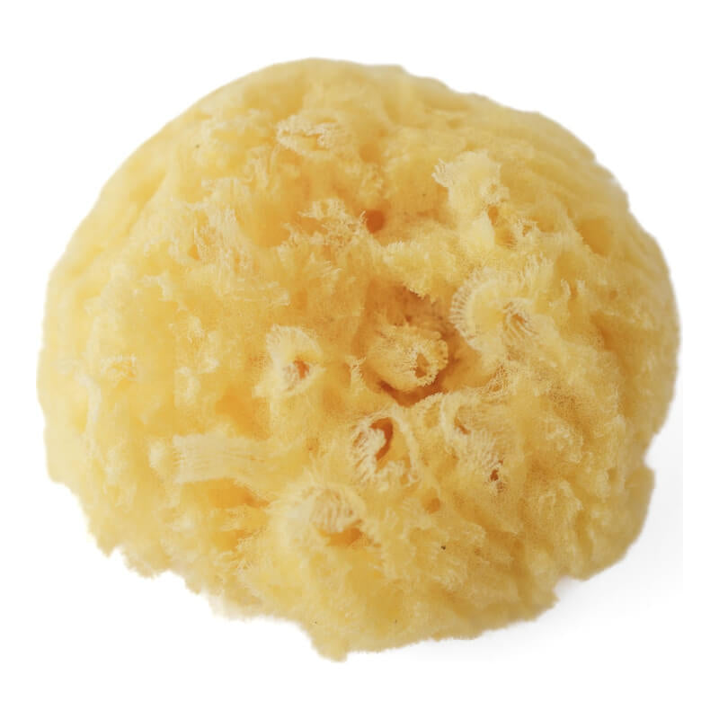 Snapkis Natural Greek Bath Sponge