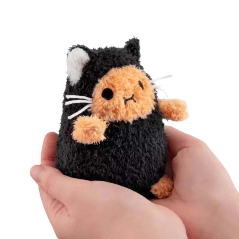 Noodoll Black Kitty Ricespud Mini Sitting Plush Toy