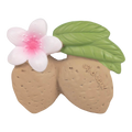 Oli&Carol Teether & Bath Toy - Nuts & Forest Fruits - Aly the Almond
