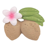 Oli&Carol Teether & Bath Toy - Nuts & Forest Fruits - Aly the Almond