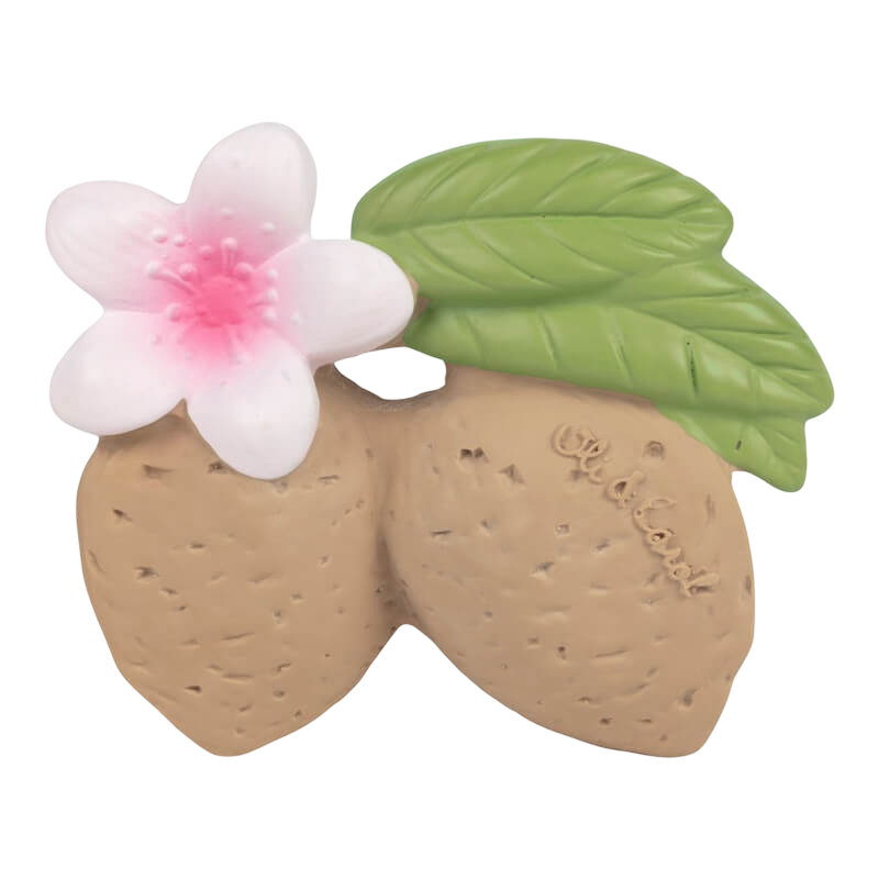 Oli&Carol Teether & Bath Toy - Nuts & Forest Fruits - Aly the Almond