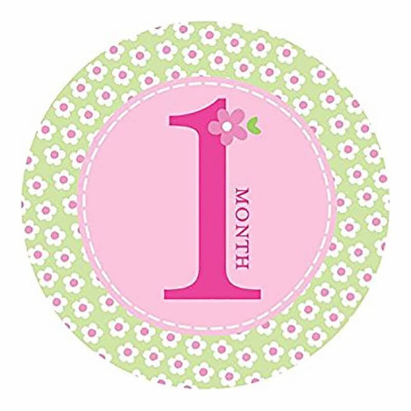 Pearhead First Year Belly Stickers - Pink