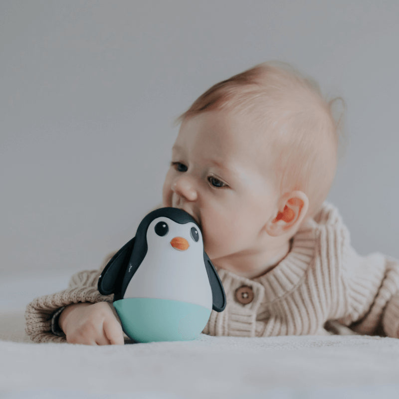 Jellystone Designs Penguin Wobble - Soft Mint