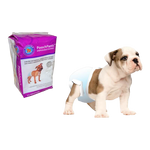 PoochPad PoochPants Disposable Diapers