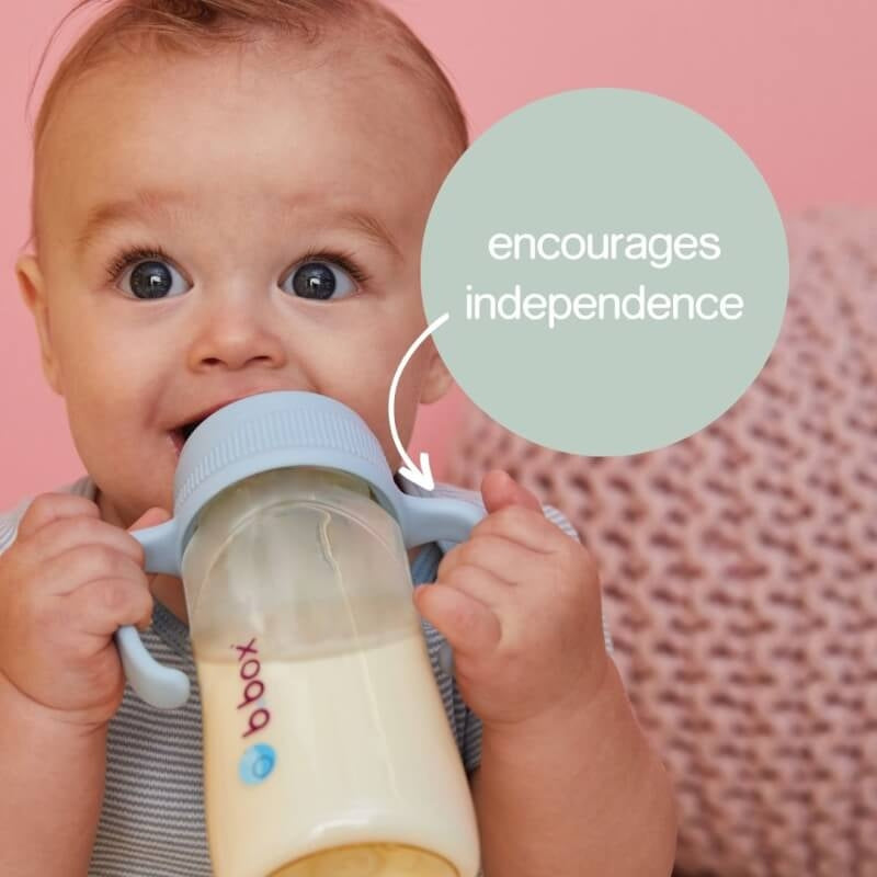 b.box PPSU Baby Bottle Handles 2-Pack