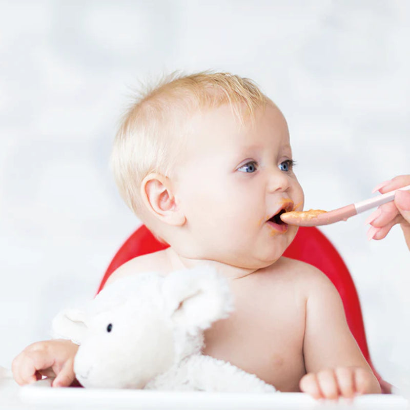 Miniware Pre2Pro Feeding Spoon