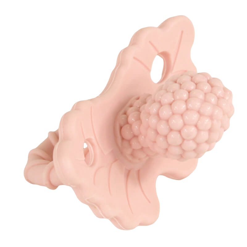 RaZbaby RaZ-berry Teether - Pink