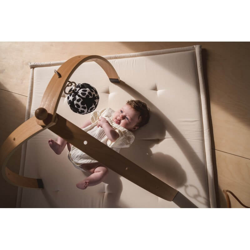 Etta Loves Sensory Grasp Ball - Animal