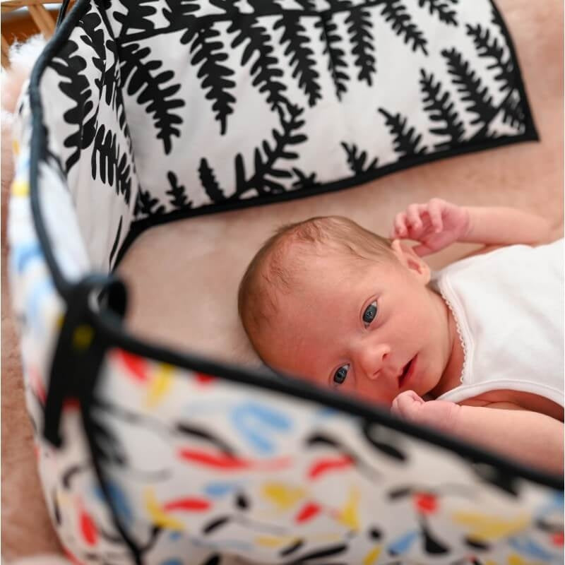 Etta Loves感官條 - 植物