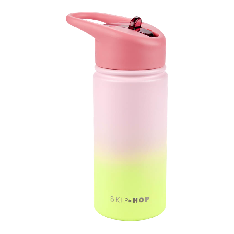 Skip Hop Wander Stainless Steel Water Bottle