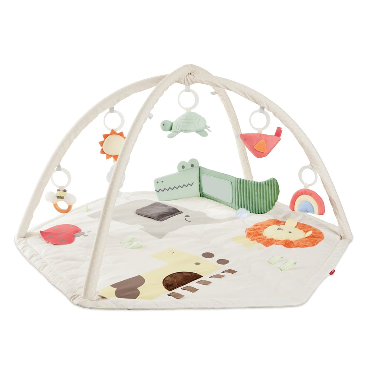 Geometric Wonders Activity Gym