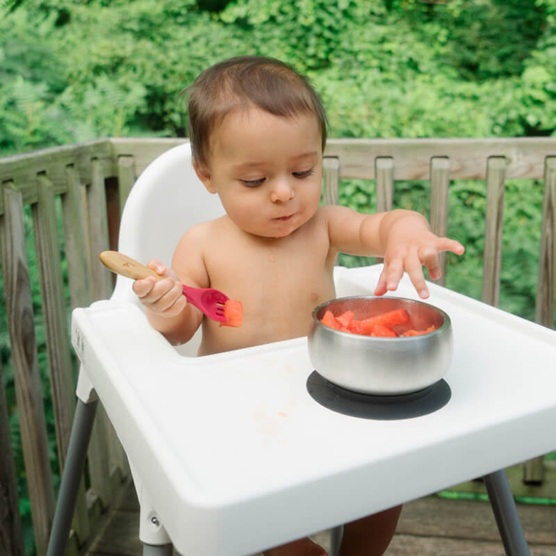 Avanchy Stainless Steel Suction Baby Bowl + Air-Tight Lid