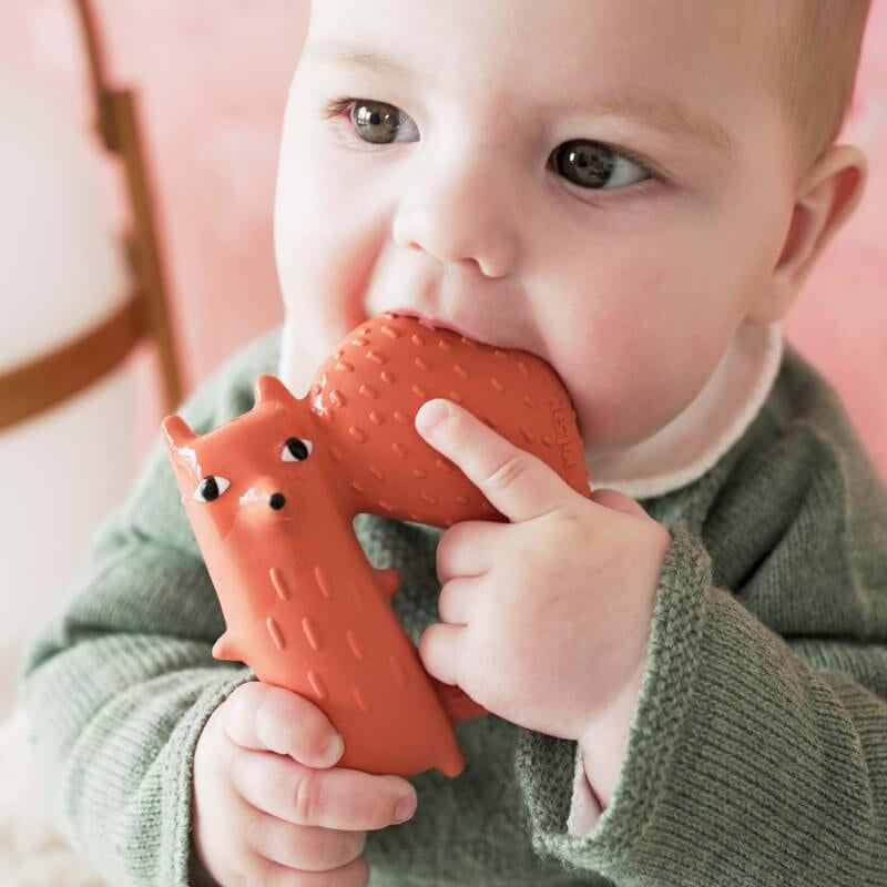 Oli&Carol Teether & Bath Toy - Donna Wilson - Cyril Squirrel Fox